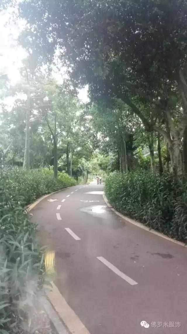 20160706-11.jpg 20160706-11.jpg